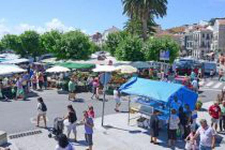 20-puestos-1-e1583312461783